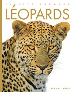 Planète animaux - Léopards