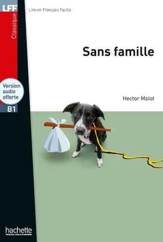 Lire en français facile - Sans famille - B1