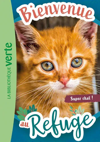 Bienvenue au refuge T15 - Super chat
