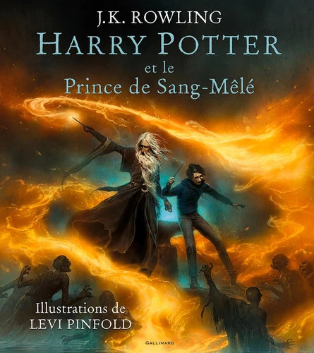 Harry Potter T06 - Harry Potter et le Prince de Sang-Mêlé