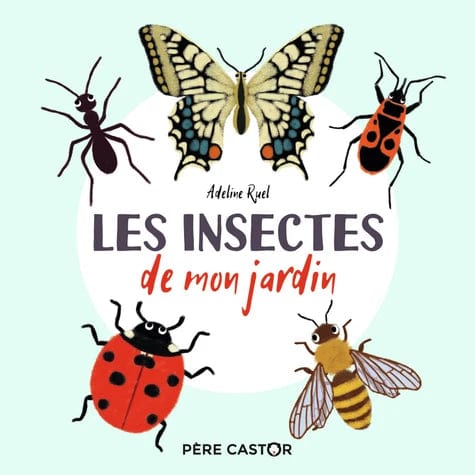 Mon imagier nature - Les insectes de mon jardin