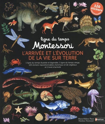 Ligne du temps Montessori - L'arrivée et l'évolution de la vie sur Terre