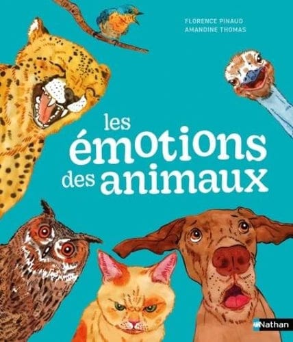 Questions ? Réponses ! - Les émotions des animaux