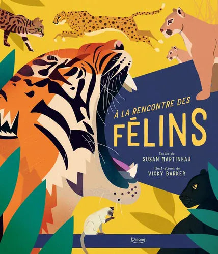 À la rencontre des félins