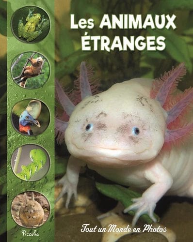 Les animaux étranges