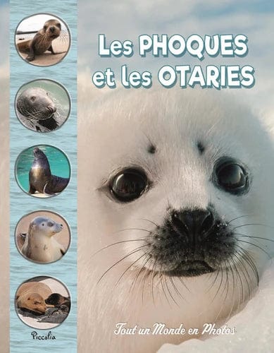 Les phoques et les otaries