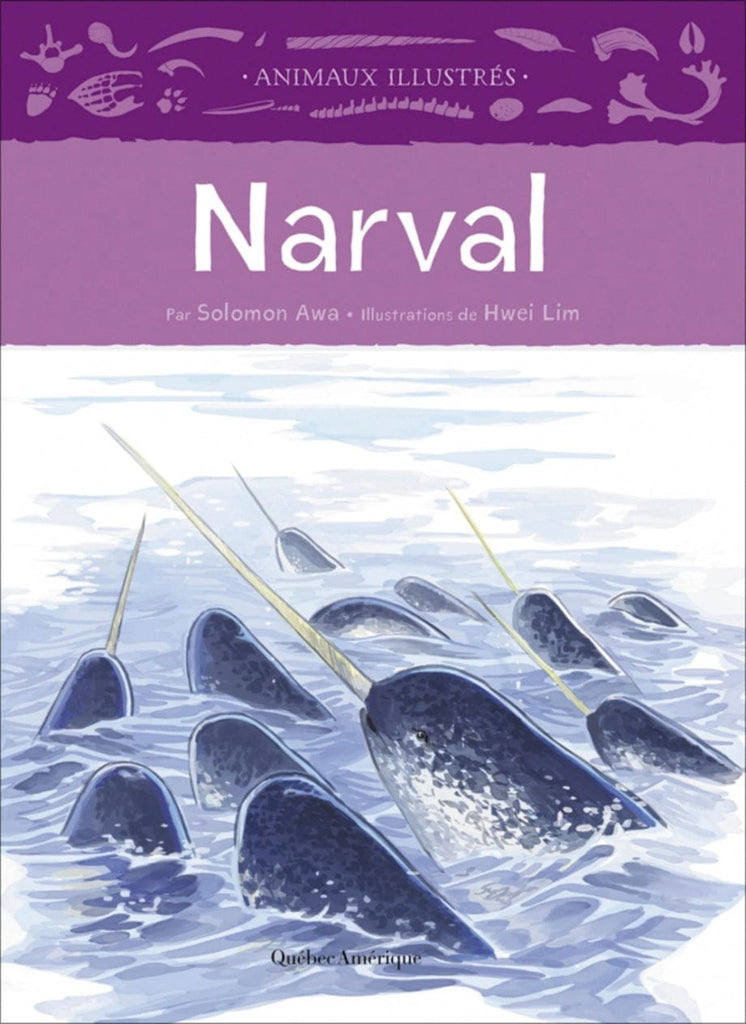 Animaux illustrés - Narval