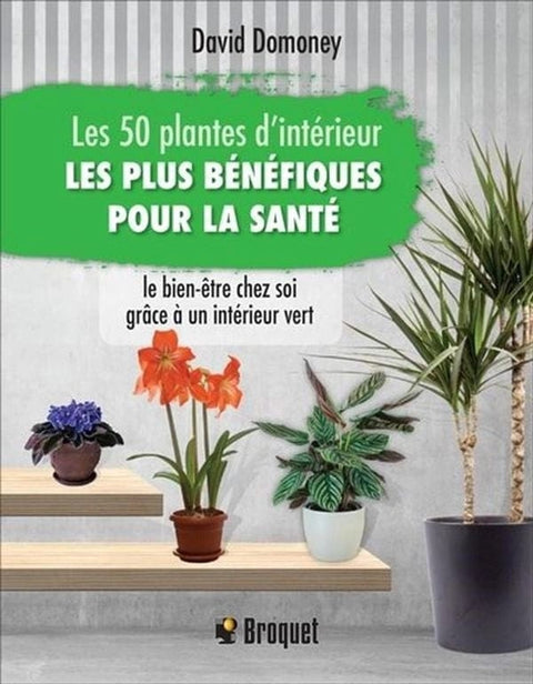 Les 50 plantes d'intérieur les plus bénéfiques pour la santé