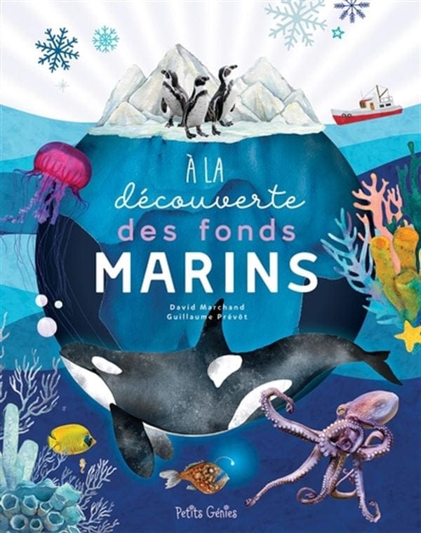 À la découverte des fonds marins