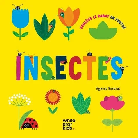 Insectes