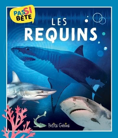 Pas si bêtes ! - Les requins