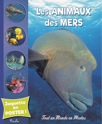 Les animaux des mers