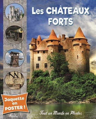 Les châteaux forts