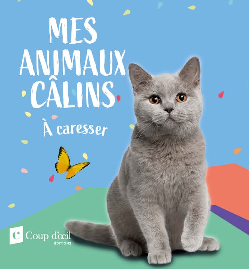 Mes animaux câlins - Chat
