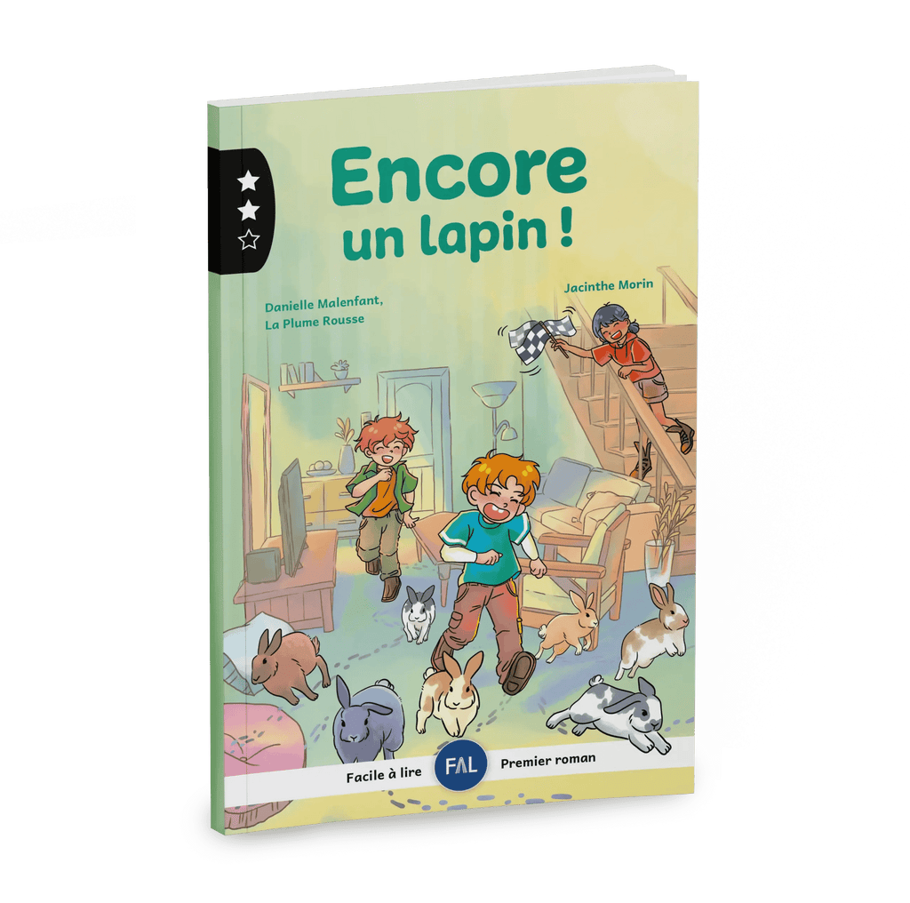 Encore un lapin ! - Niveau 2