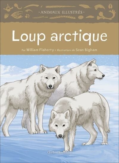 Animaux illustrés - Loup arctique