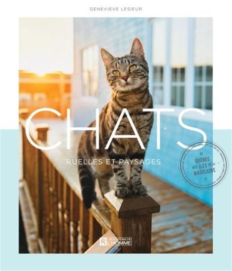 Chats, ruelles et paysages : de Québec aux îles de la Madeleine