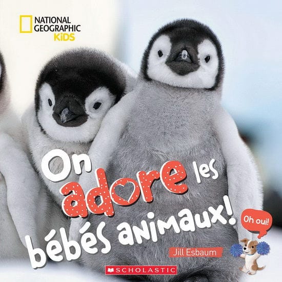 On adore les bébés animaux !