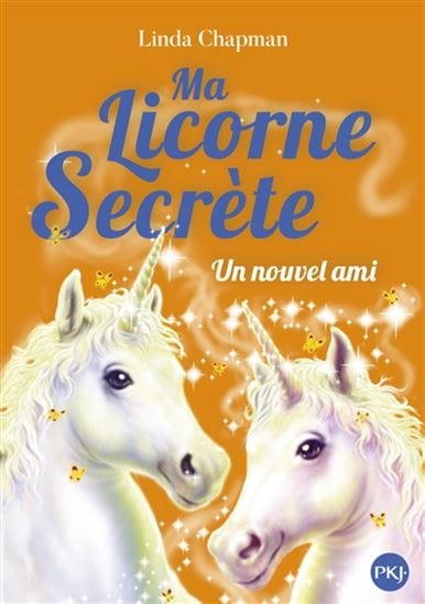 Ma licorne secrète T06 - Un nouvel ami