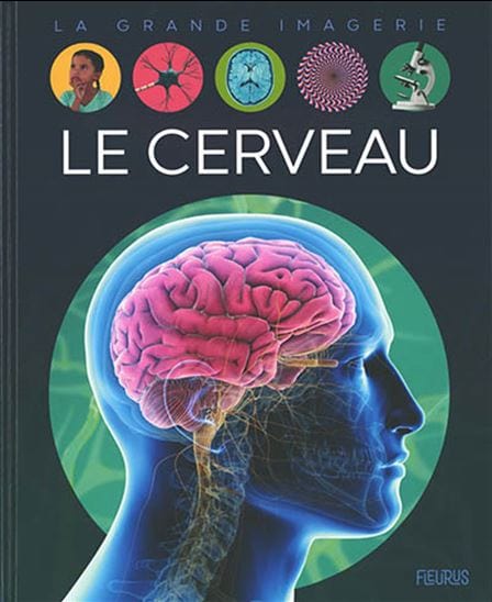 La grande imagerie - Le cerveau