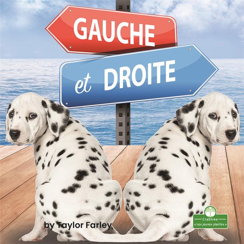 Gauche et droite