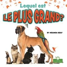 Lequel est le plus grand ?