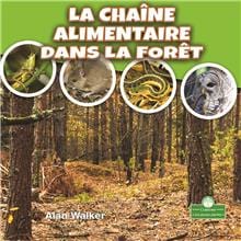 La chaîne alimentaire dans la forêt
