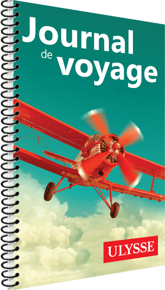 Journal de voyage - L'avion