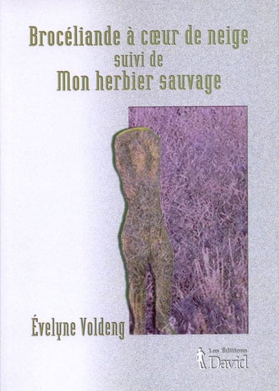 Brocéliande à coeur de neige