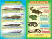 Qui va gagner? L'alligator ou le python?