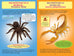 Qui va gagner? La mygale ou le scorpion?