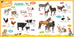 Mon grand imagier avec Sami et Julie