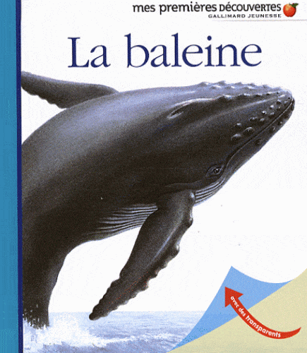 Mes premières découvertes - La baleine