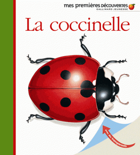 Mes premières découvertes - La coccinelle