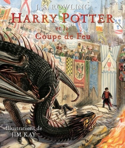 Harry Potter T04: Harry Potter et la Coupe de Feu