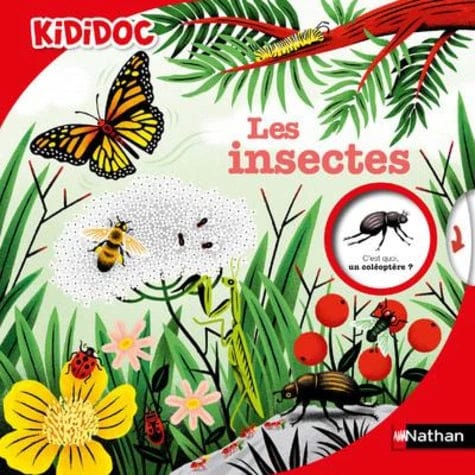 Kididoc - Les insectes