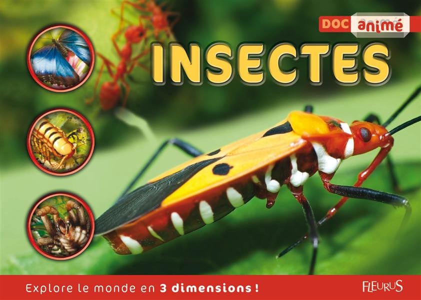 Docanimé - Insectes