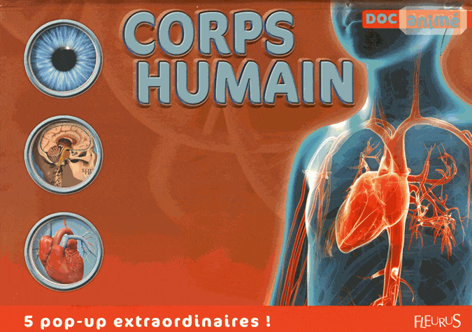 Docanimé - Corps humain