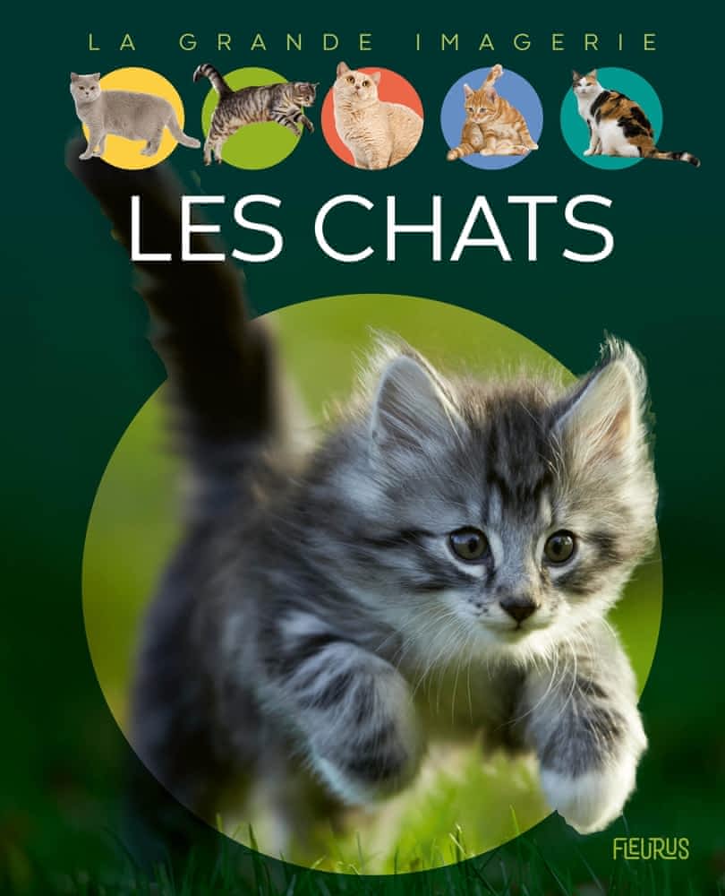 La grande imagerie - Les chats