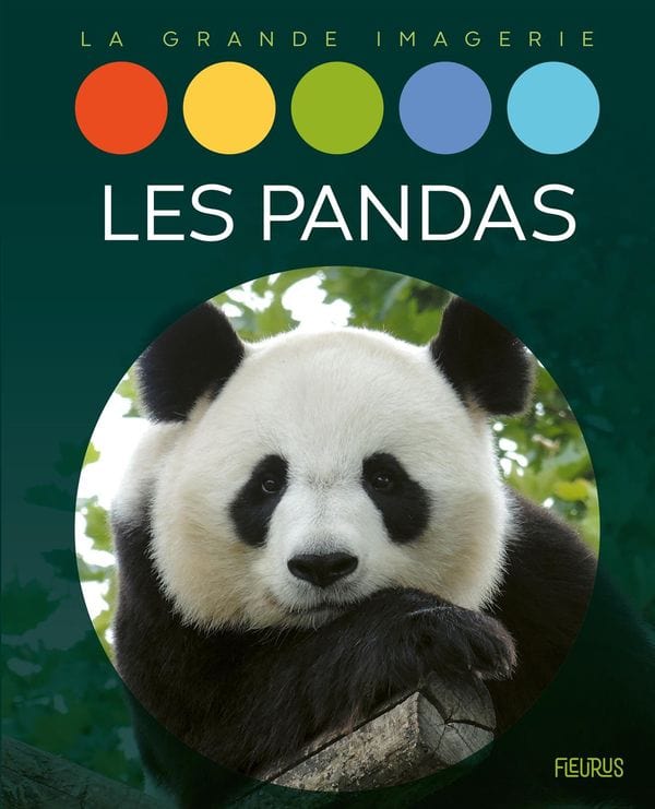 La grande imagerie - Les pandas