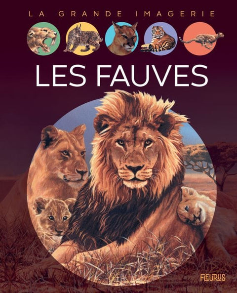 La grande imagerie - Les fauves