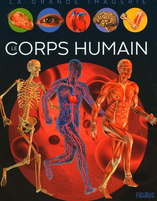 La grande imagerie - Le corps