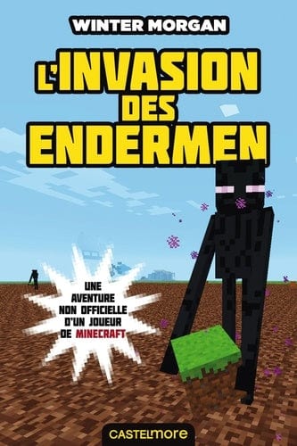Minecraft T03 - L'invasion des Endermen