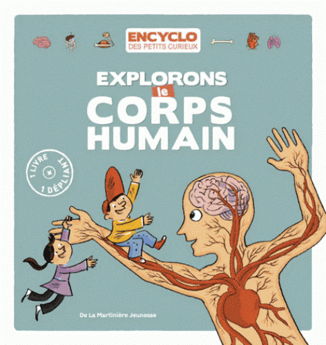 Encyclo des petits curieux - explorons le corps humain