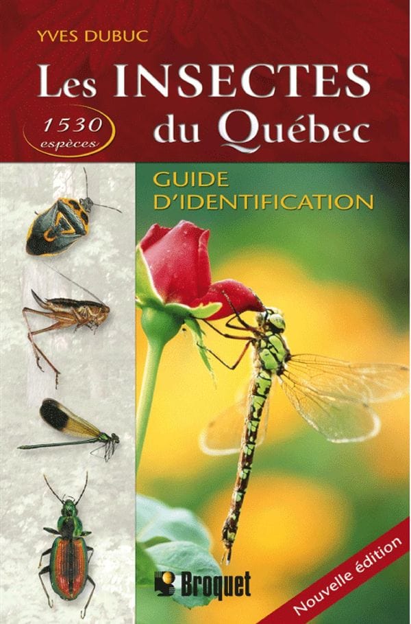 Les insectes du Québec