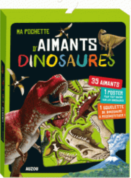 Ma première pochette d'aimants dinosaures