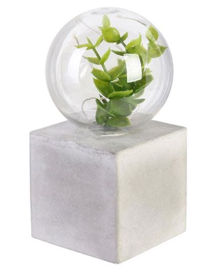 Décoration lumineuse avec plante