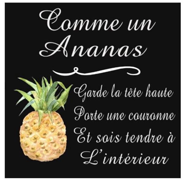 Affiche réversible bilingue - Ananas