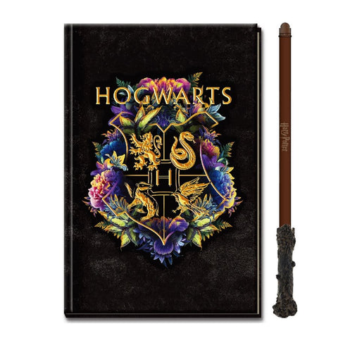 Journal Harry Potter avec crayon