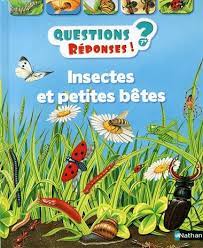 Questions ? Réponses ! - Insectes et petites bêtes